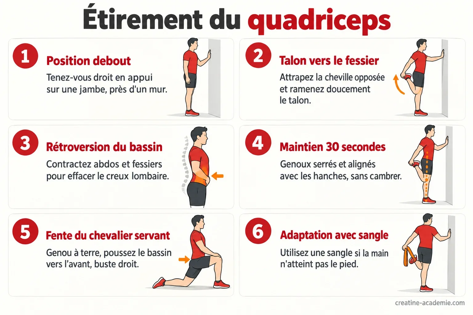 Schéma de l'étirement du quadriceps debout en profil : talon vers le fessier, bassin en rétroversion, muscles du devant de la cuisse indiqués