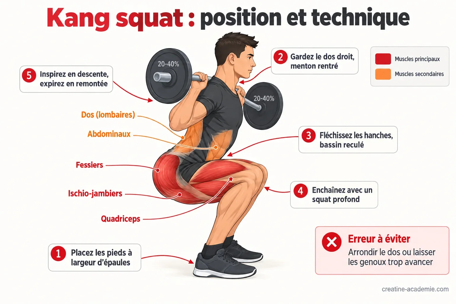 Schéma du Kang squat de profil : position de départ, flexion des hanches, squat profond, muscles de la chaîne postérieure ciblés