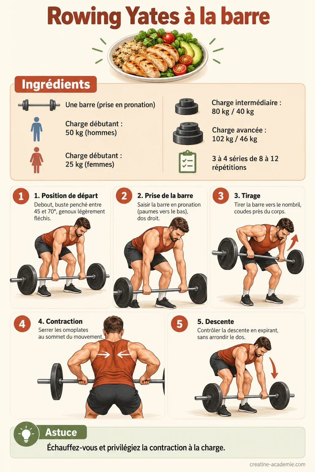 Fiche recette du rowing Yates à la barre en pronation : charges, séries, répétitions et étapes de la technique pour le dos.
